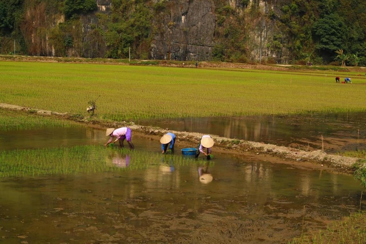 Tuan Nam Homestay Ninh Binh Exterior foto