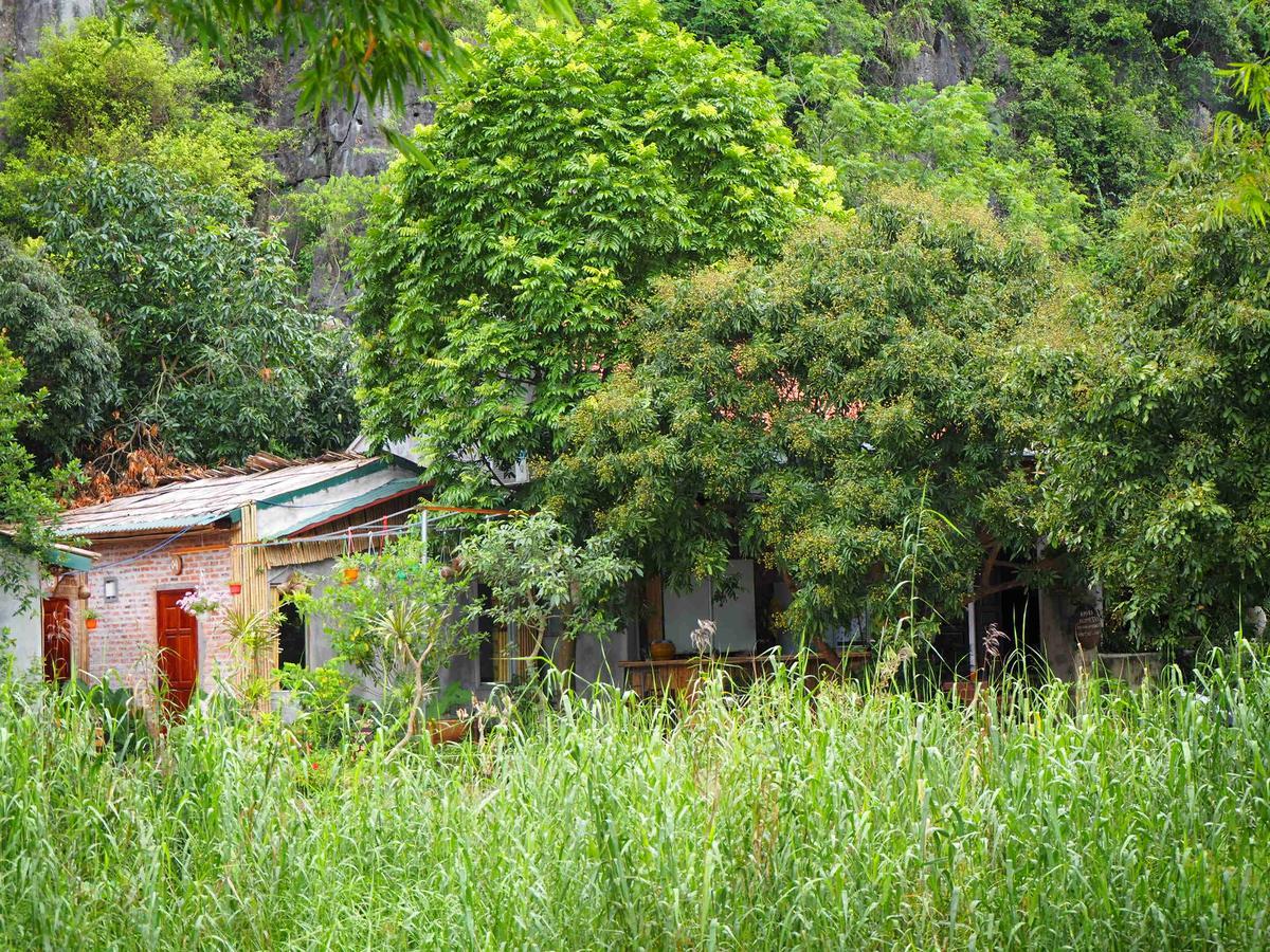 Tuan Nam Homestay Ninh Binh Exterior foto